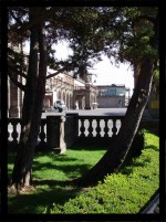 Arboles del Castillo